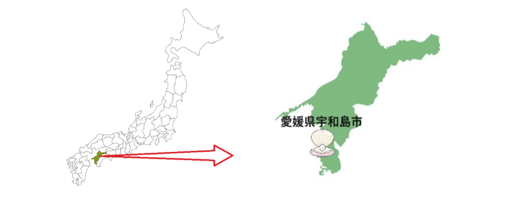 アコヤ貝①