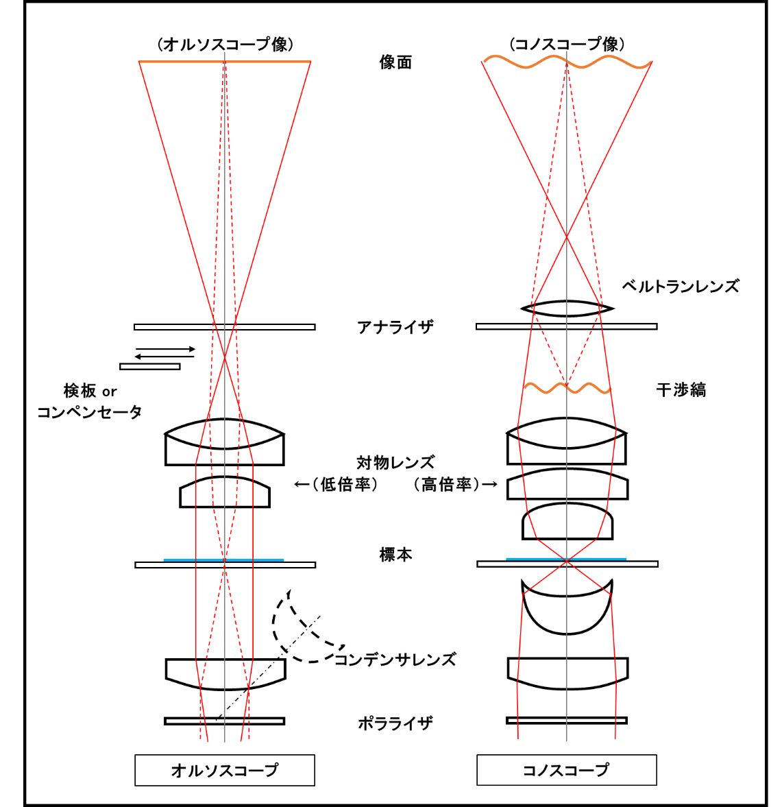 図２オルソスコープ法とコノスコープ法の概略図