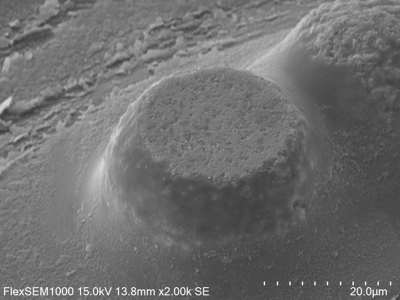 研磨使用後 SEM画像x2000