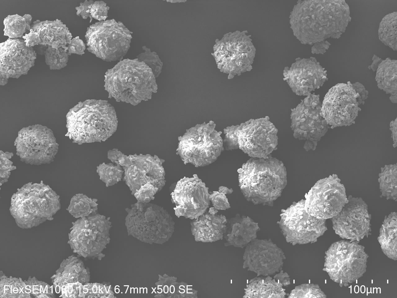 DS8000微粉 SEM画像x500