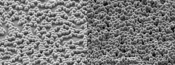 ナノクリーンテープ単層（左）と多層（右）のSEM（2000倍）