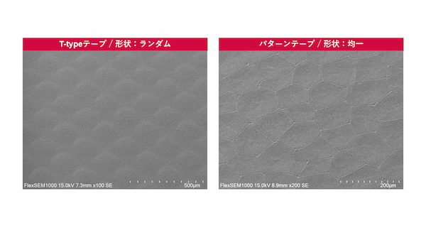 研磨フィルムの表面SEM.